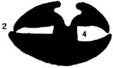 KL 0383 - EPDM Dichtungs-Gummiprofile - Klemmprofile / Befestigungs- und Dichtungsprofile KL 0383 - EPDM Dichtungs-Gummiprofile - Klemmprofile / Befestigungs- und Dichtungsprofile