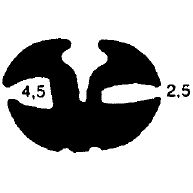 1B= 25 m KL 0263 - EPDM Dichtungs-Gummiprofile - Klemmprofile / Befestigungs- und Dichtungsprofile