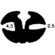 1B= 25 m KL 0263 - stretcher EPDM profiles - Stabilizing and stretcher profiles