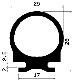 RT 1904
